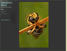 Tablet Screenshot of dalantech.daportfolio.com