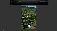 Desktop Screenshot of erindonnellyellis.daportfolio.com