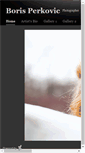 Mobile Screenshot of borisperkovic.daportfolio.com