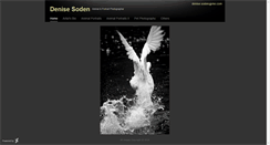 Desktop Screenshot of dsoden.daportfolio.com