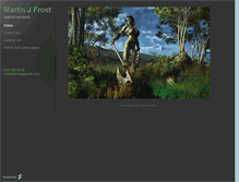 Tablet Screenshot of martinjfrost.daportfolio.com