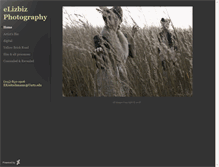 Tablet Screenshot of elizbiz.daportfolio.com