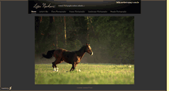 Desktop Screenshot of lydeea.daportfolio.com