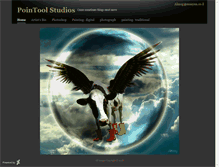 Tablet Screenshot of pointool.daportfolio.com