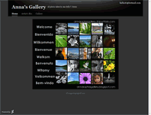 Tablet Screenshot of annasophiagallery.daportfolio.com